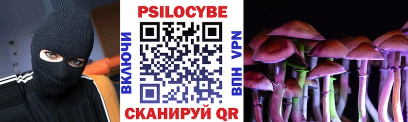 где найти наркотики  Обоянь  Псилоцибиновые грибы Cubensis 